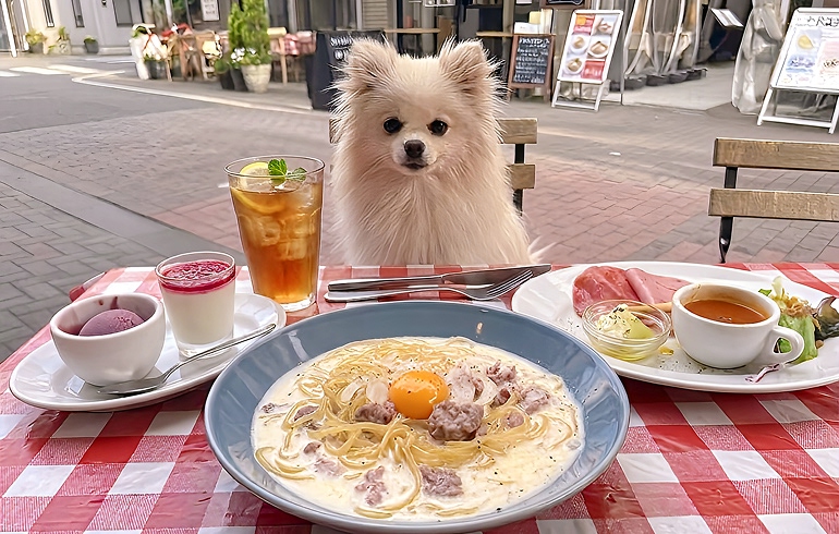 お得なランチセット