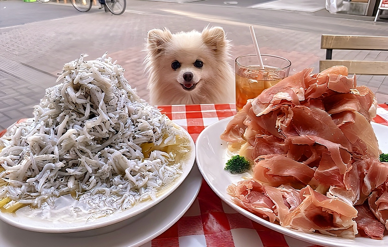 のせ放題パスタ