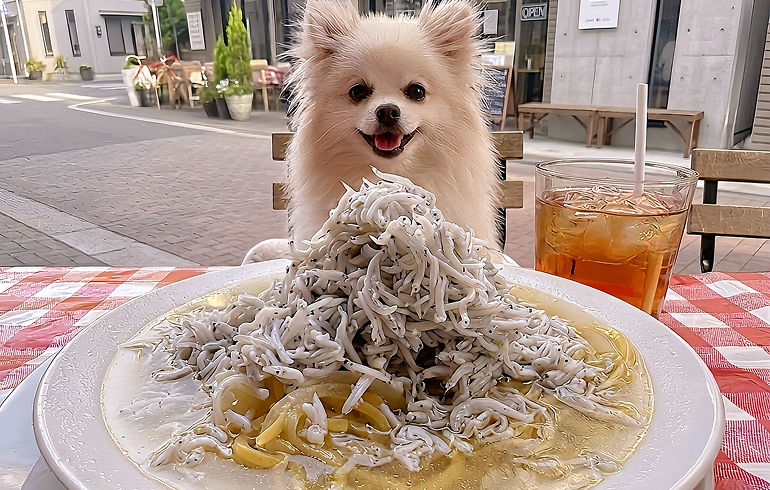 のせ放題パスタ
