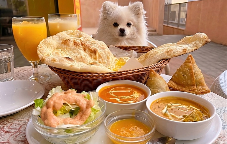 ディナーセット