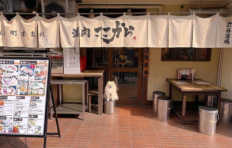 焼肉ここから渋谷道玄坂店の外観