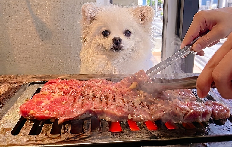 壺漬けBBQデカハラミ