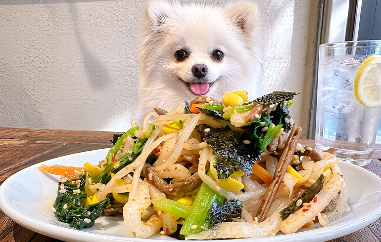 絶対ナムル