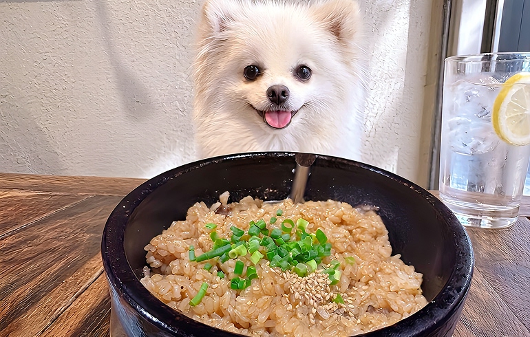 名物 肉飯