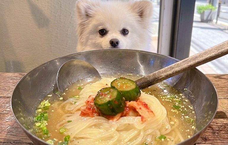 冷麺