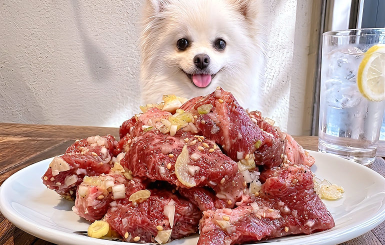 ここから盛り Lサイズ