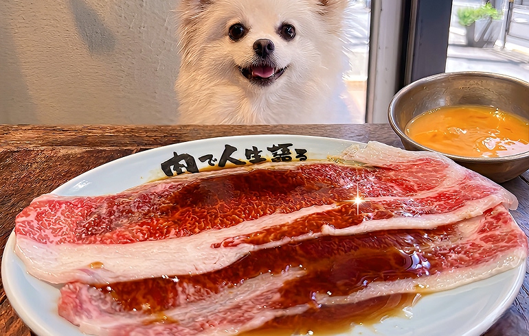 SUKIYAKI サーロイン