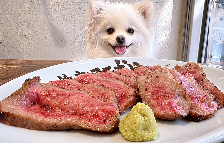 ゴッドタン焼き