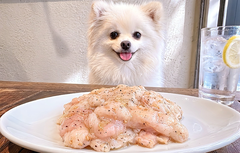 ここからホルモン 塩