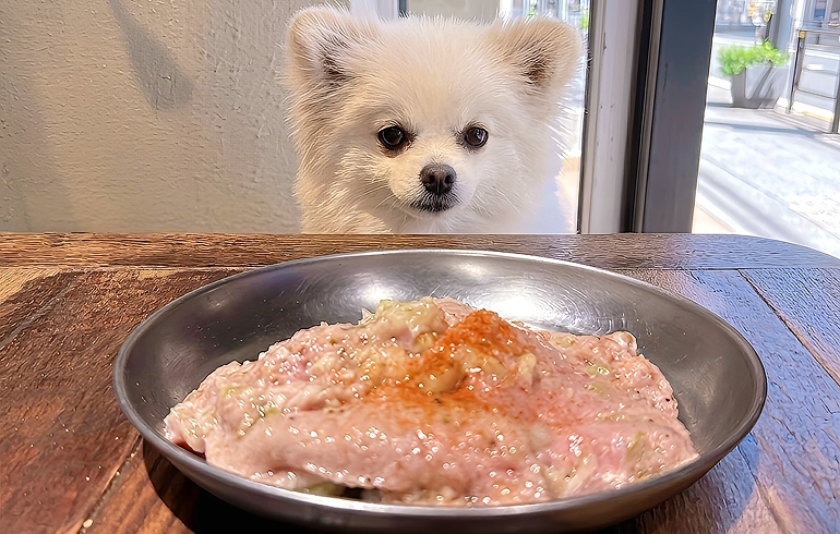 おっぱい