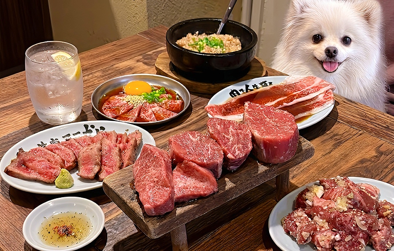 焼肉ここから渋谷道玄坂店のこだわりのお肉