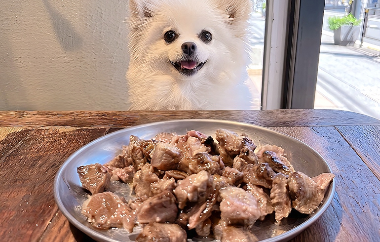 焼肉ここから渋谷道玄坂店の犬用メニュー