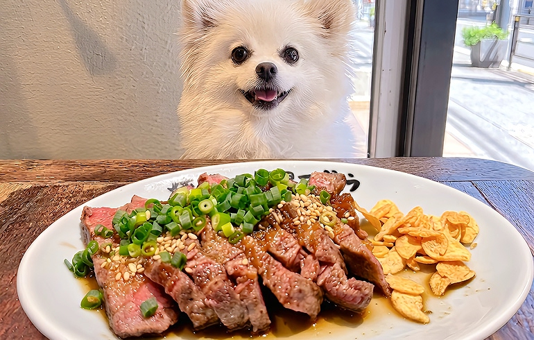 ヒレはステーキに