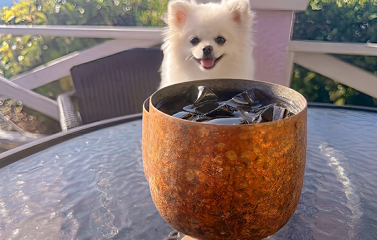 名物水出しコーヒー