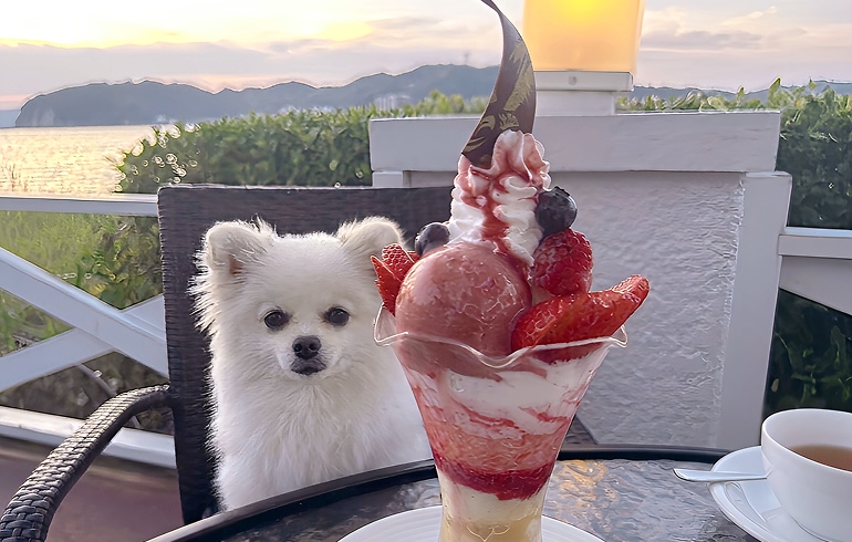 特製ストロベリーパフェ
