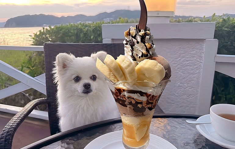 特製チョコレートパフェ