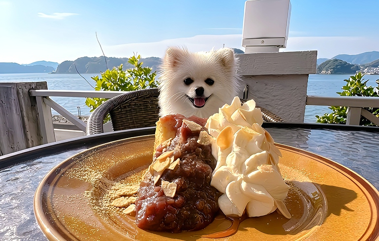 塩キャラメルシフォンケーキ
