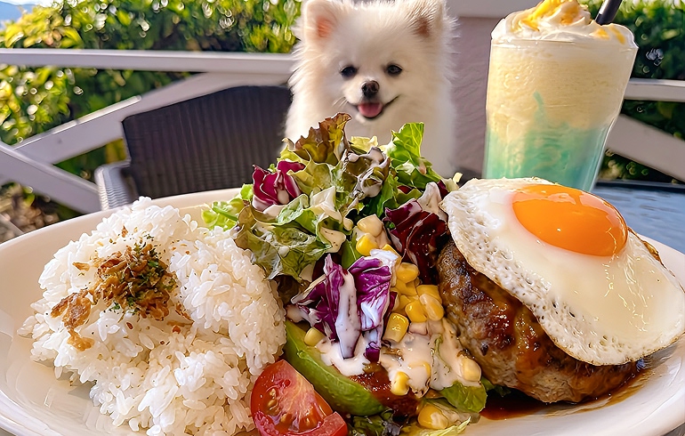 ロコモコプレート