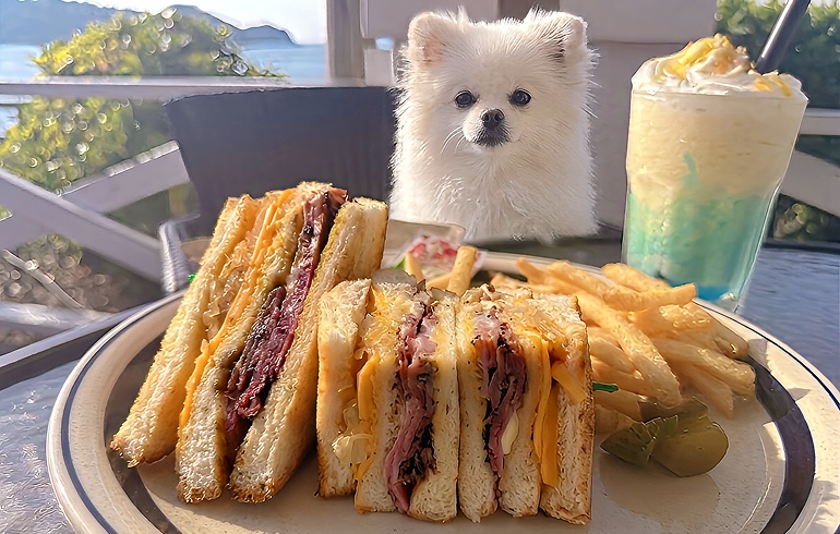 パストラミ&ツナサンド