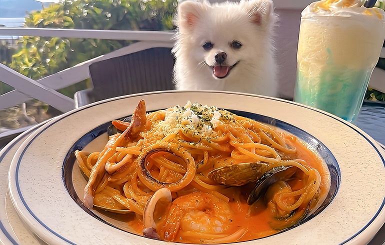 シーフードクリームパスタ