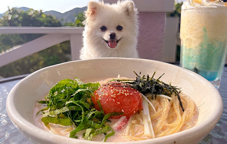 たらことイカのスープパスタ
