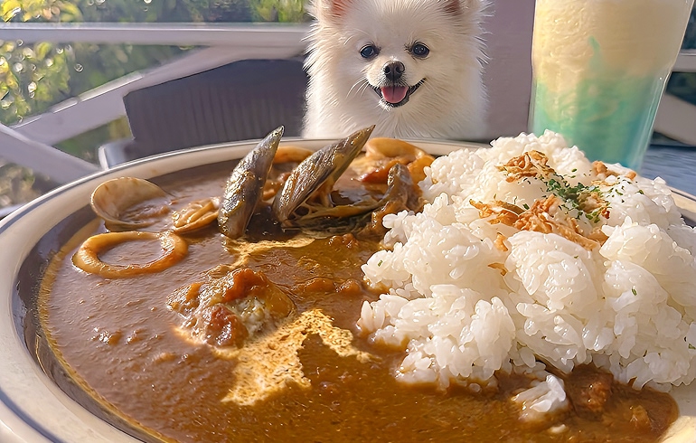 シーフードカレー