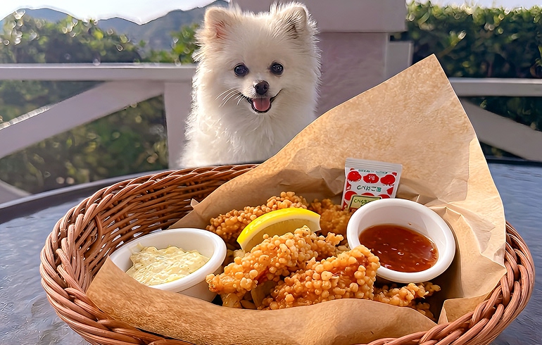 チキンスティックフライ