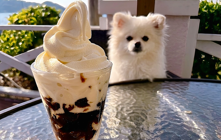 水出し珈琲ゼリーフロート
