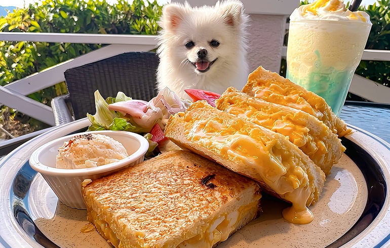 卵ホットサンドモーニング