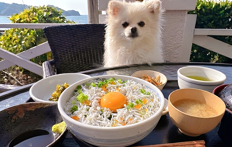 釜揚げシラス丼定食