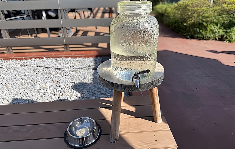 ワンちゃん用セルフお水サービス