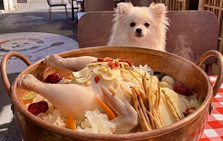 美肌薬膳タッカンマリ鍋