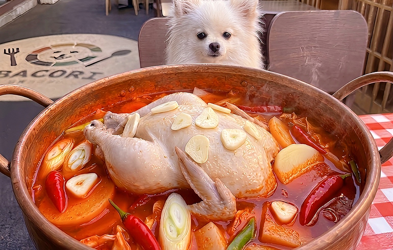 麻辣タッカンマリ鍋