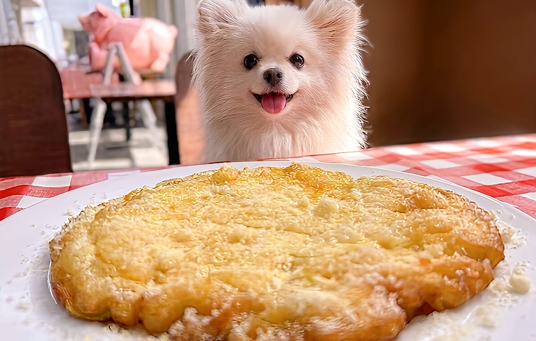 チーズチヂミ