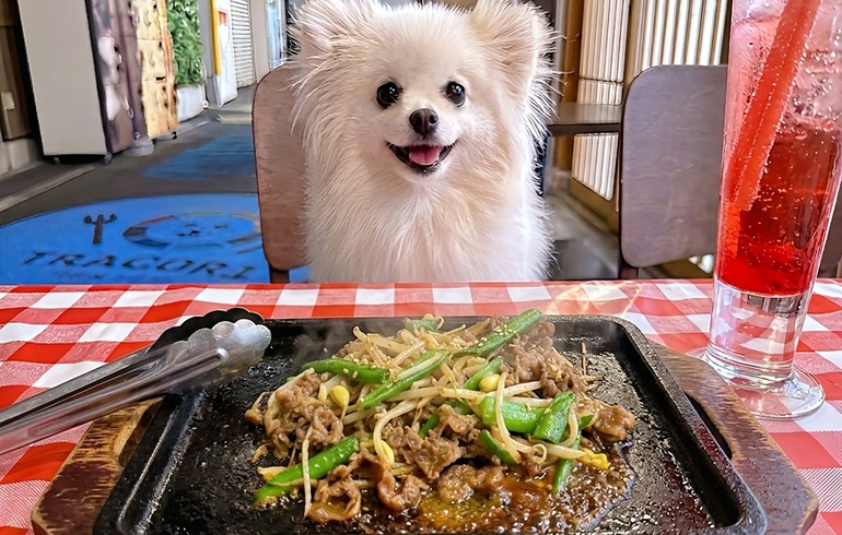 プルコギ鉄板焼き