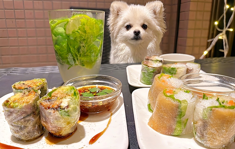 生春巻き