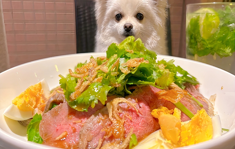 ローストビーフのパクチーごはん