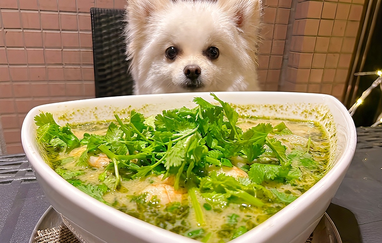 海老のグリーンカレーフォー