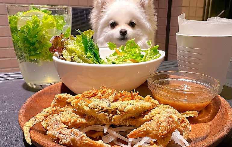 野菜と食べるソフトシェルクラブの唐揚げ