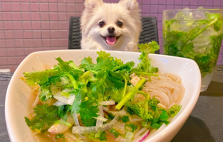 鶏のフォー