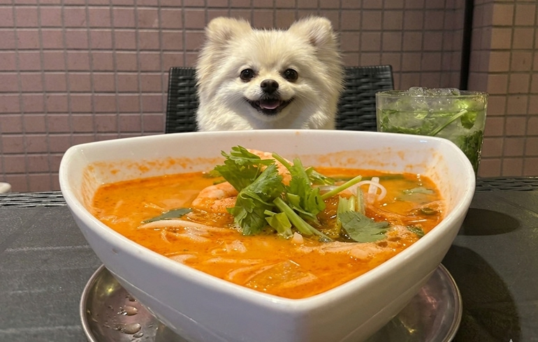 トムヤムクンのフォー