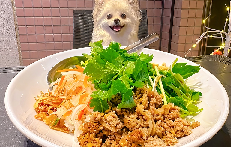 アンフーご飯