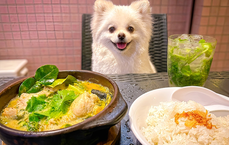 地鶏のココナッツグリーンカレー