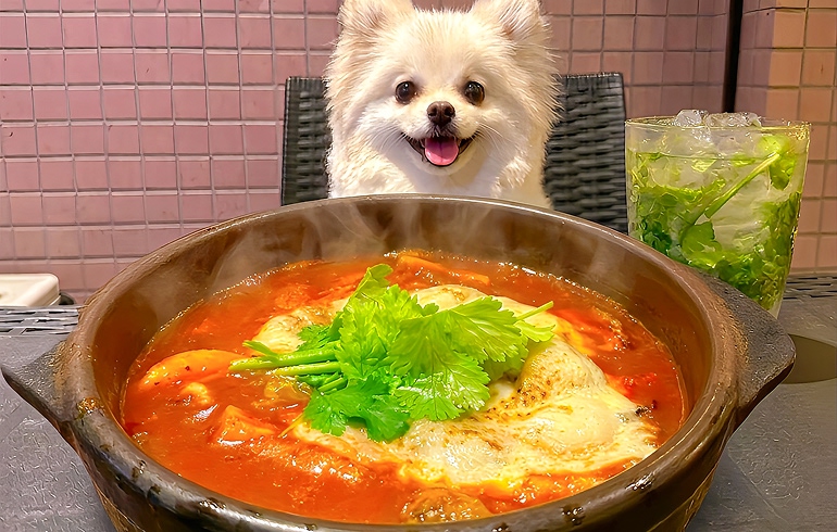 牛ほほ肉の焼きビーフシチュー
