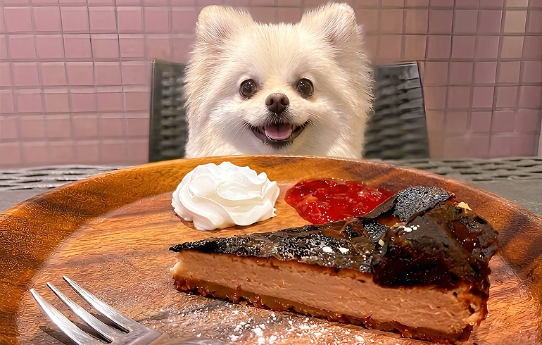 バスクチーズケーキ