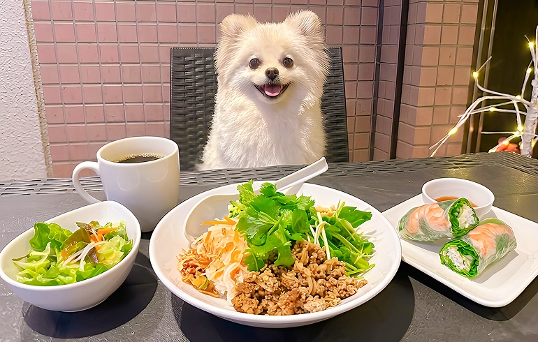 お得なランチセット