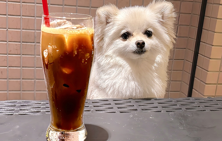 ベトナムコーヒー