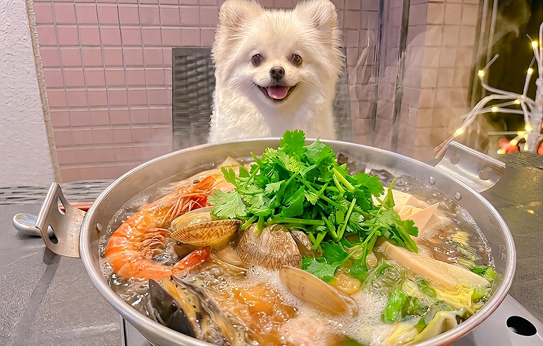 無農薬パクチー鍋