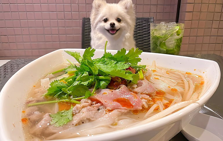 ラムしゃぶのスパイシーフォー