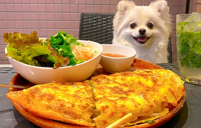 特製 バインセオ